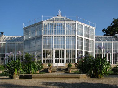 The Palm House at Pillnitz Palace & Park