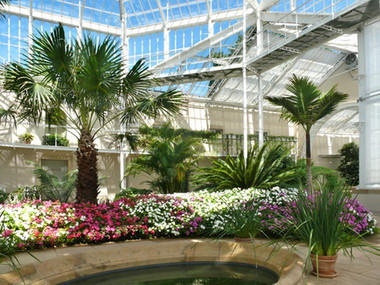 The Palm House at Pillnitz Palace & Park