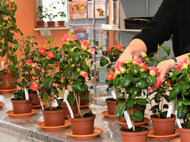 Foto: Petra Hornig